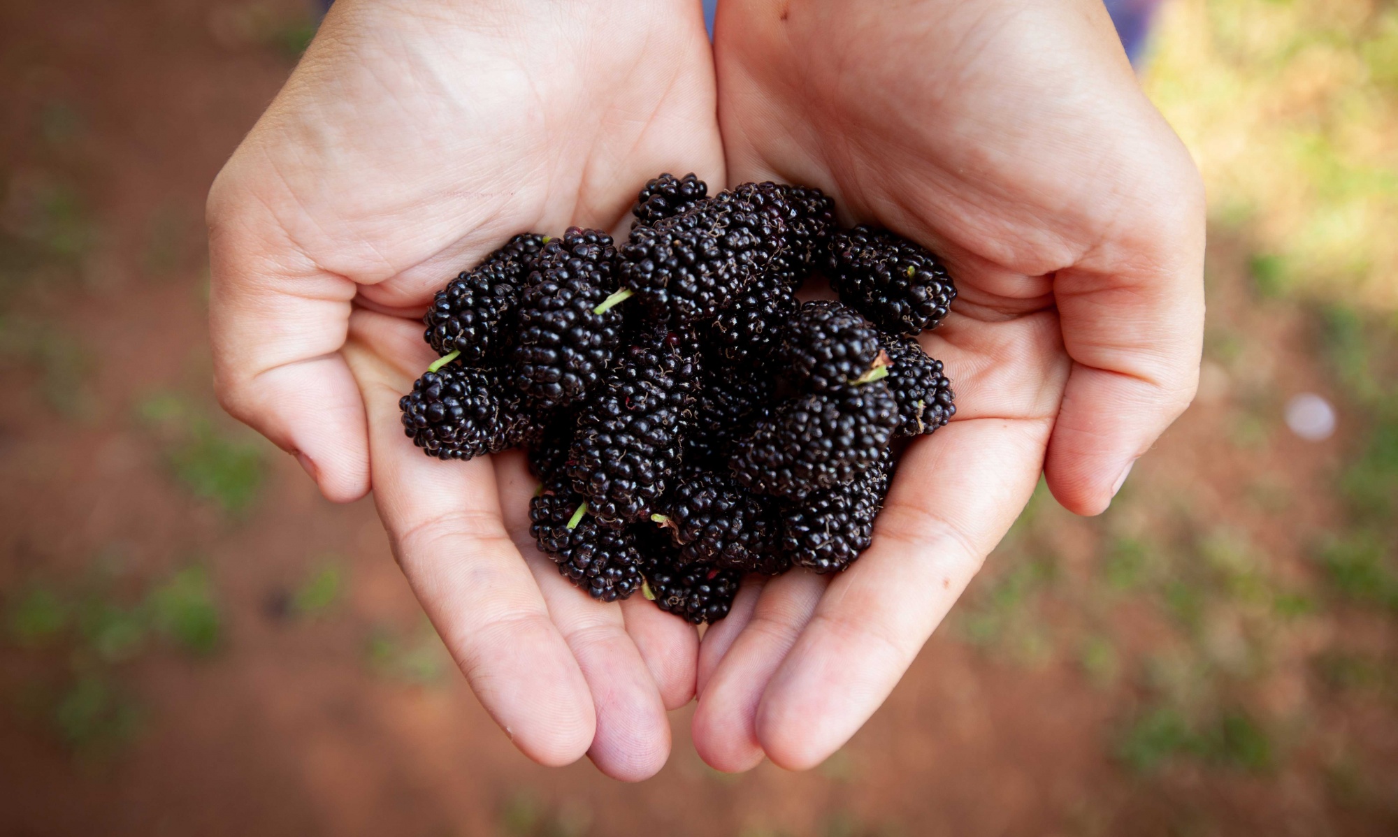 VIVÁ  Centro Montessori
